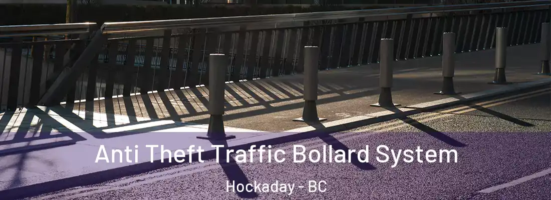  Anti Theft Traffic Bollard System Hockaday - BC