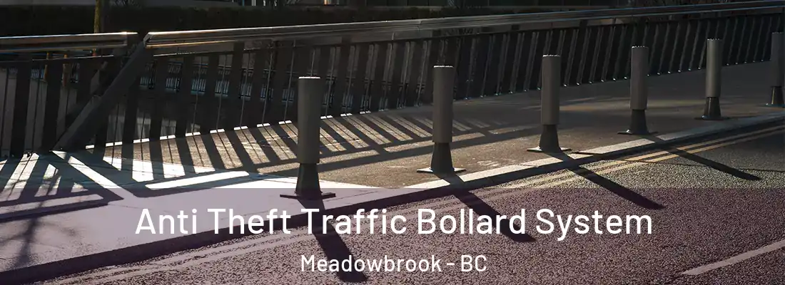  Anti Theft Traffic Bollard System Meadowbrook - BC
