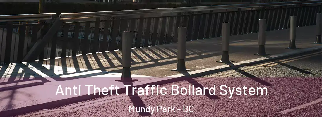  Anti Theft Traffic Bollard System Mundy Park - BC