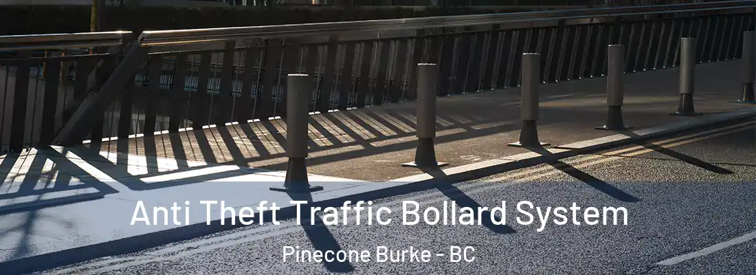  Anti Theft Traffic Bollard System Pinecone Burke - BC