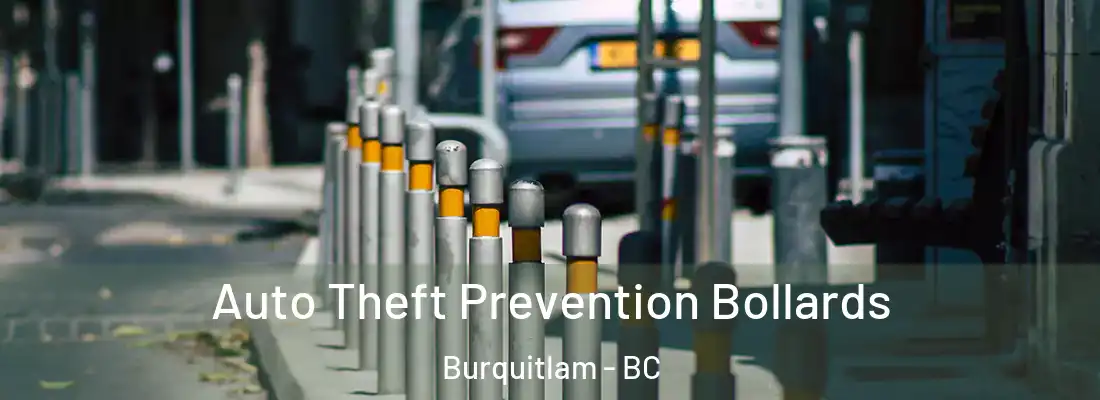  Auto Theft Prevention Bollards Burquitlam - BC