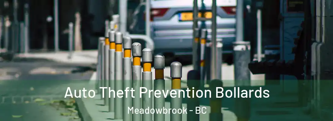  Auto Theft Prevention Bollards Meadowbrook - BC
