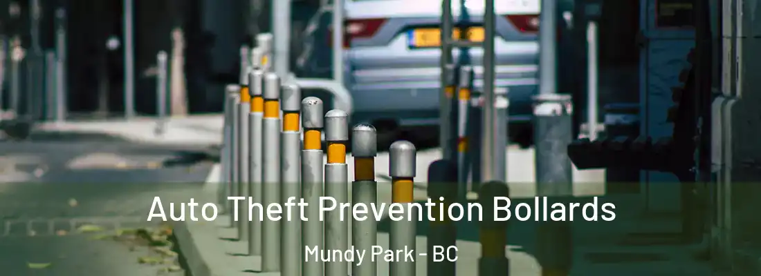  Auto Theft Prevention Bollards Mundy Park - BC