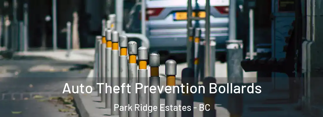  Auto Theft Prevention Bollards Park Ridge Estates - BC