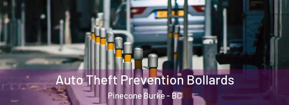  Auto Theft Prevention Bollards Pinecone Burke - BC