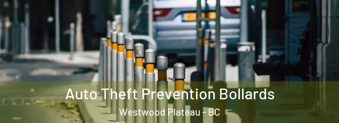 Auto Theft Prevention Bollards Westwood Plateau - BC