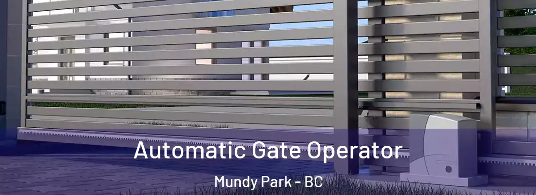  Automatic Gate Operator Mundy Park - BC
