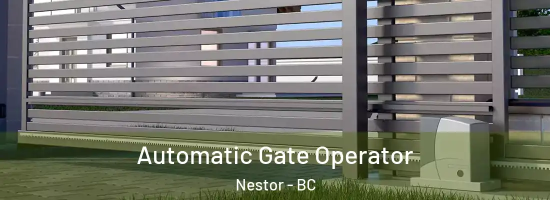  Automatic Gate Operator Nestor - BC