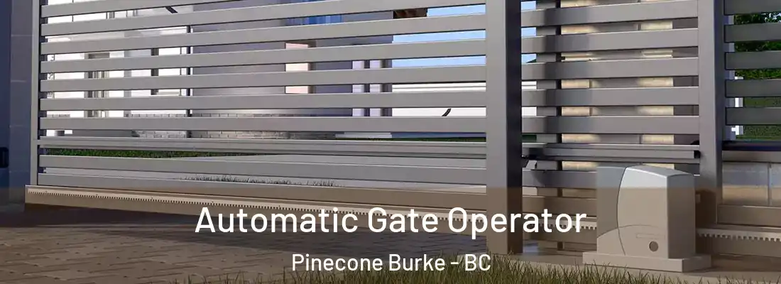  Automatic Gate Operator Pinecone Burke - BC