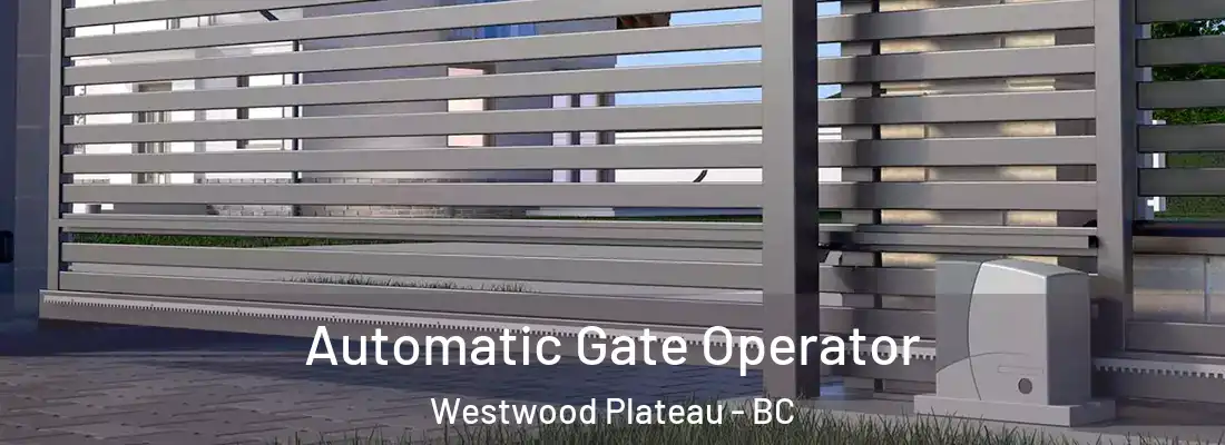 Automatic Gate Operator Westwood Plateau - BC
