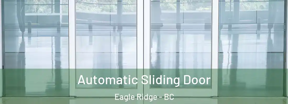  Automatic Sliding Door Eagle Ridge - BC