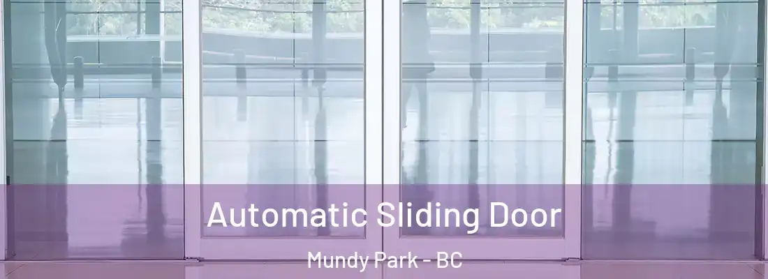  Automatic Sliding Door Mundy Park - BC