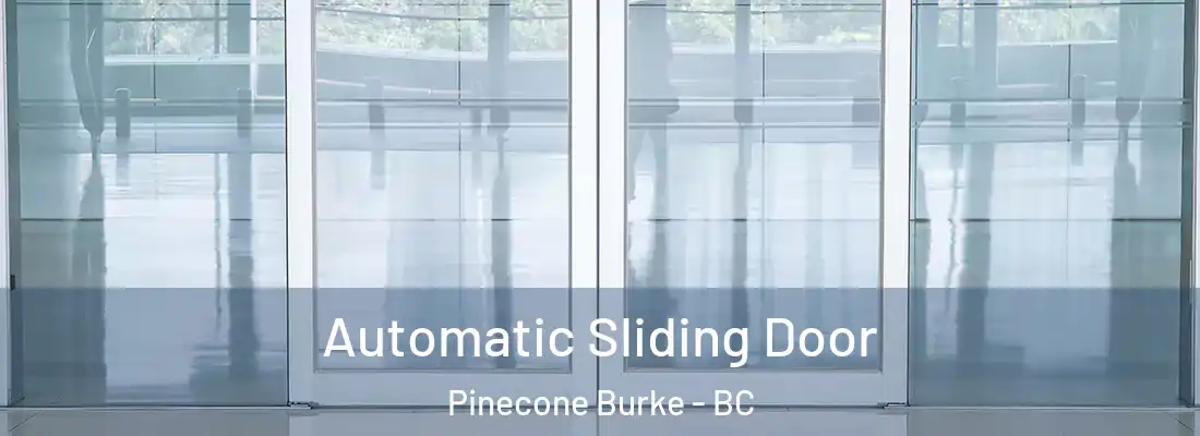  Automatic Sliding Door Pinecone Burke - BC