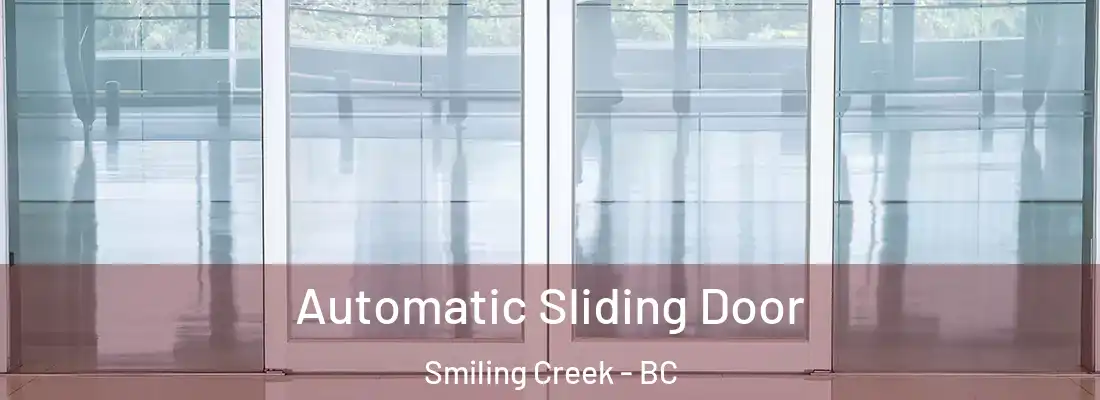  Automatic Sliding Door Smiling Creek - BC