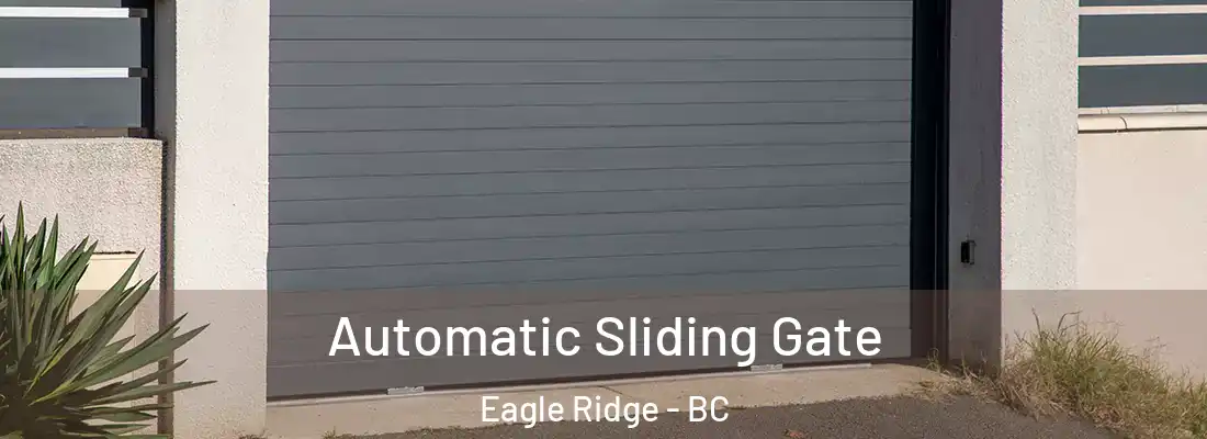  Automatic Sliding Gate Eagle Ridge - BC