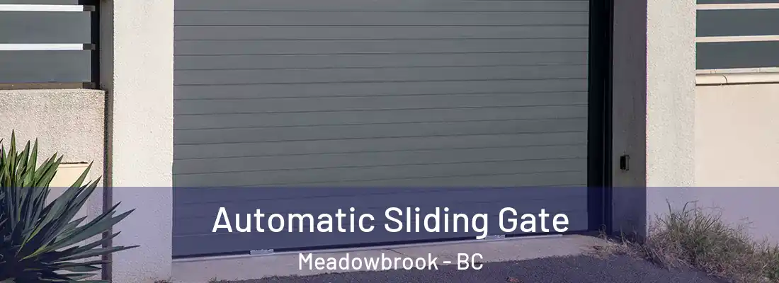  Automatic Sliding Gate Meadowbrook - BC