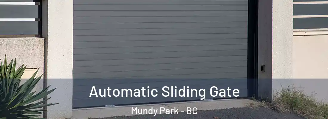  Automatic Sliding Gate Mundy Park - BC