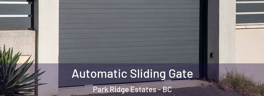  Automatic Sliding Gate Park Ridge Estates - BC