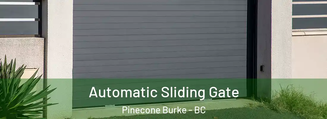  Automatic Sliding Gate Pinecone Burke - BC