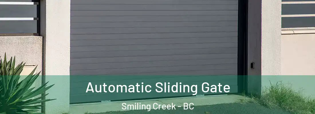  Automatic Sliding Gate Smiling Creek - BC
