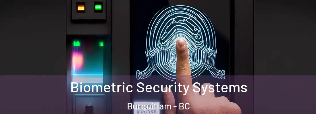  Biometric Security Systems Burquitlam - BC