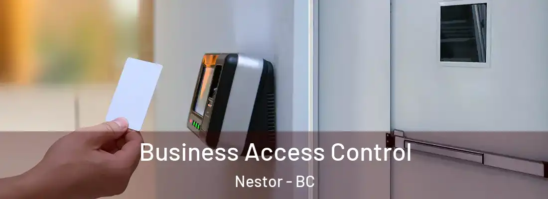  Business Access Control Nestor - BC