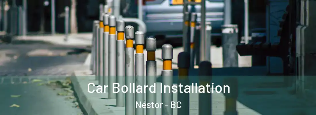  Car Bollard Installation Nestor - BC