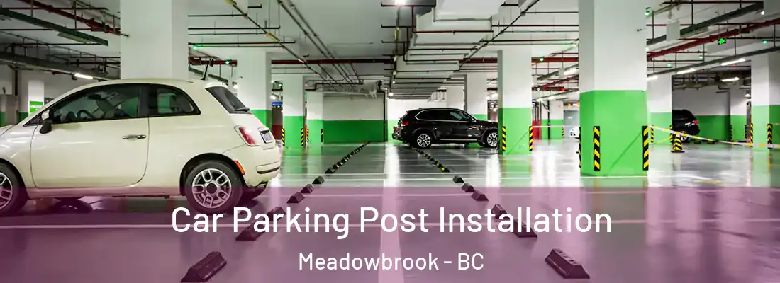 Car Parking Post Installation Meadowbrook - BC