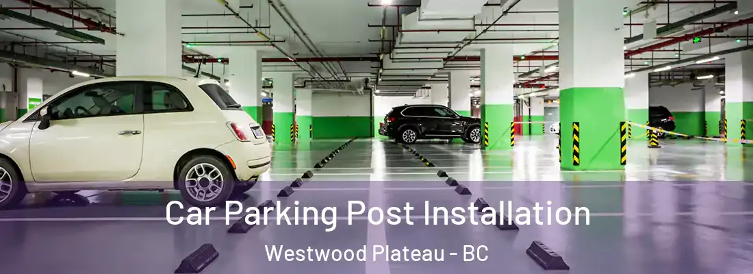 Car Parking Post Installation Westwood Plateau - BC