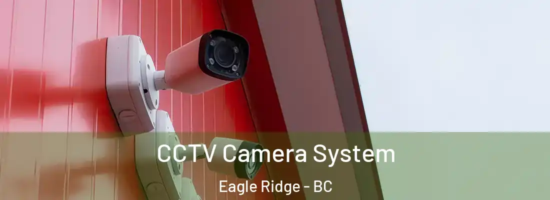  CCTV Camera System Eagle Ridge - BC