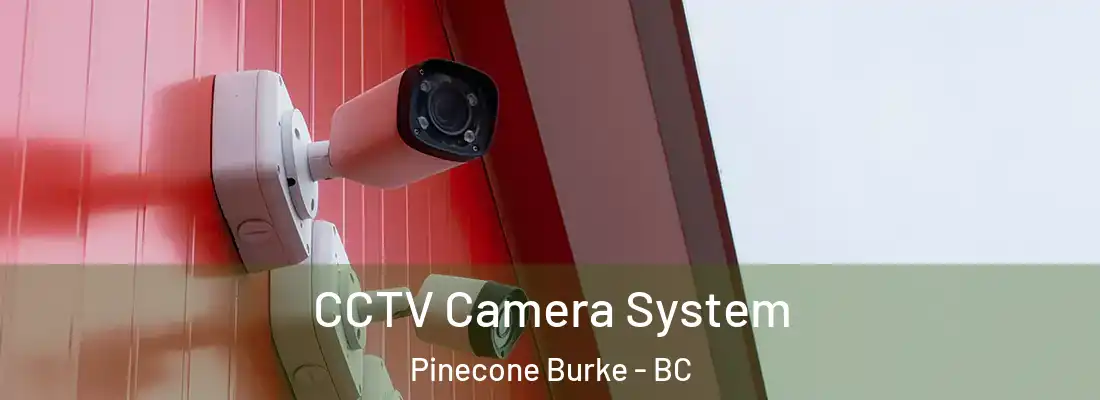  CCTV Camera System Pinecone Burke - BC