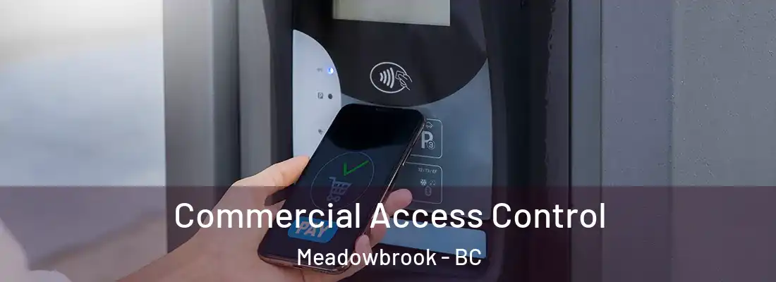  Commercial Access Control Meadowbrook - BC