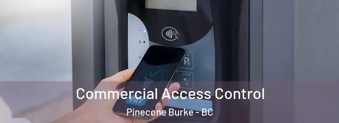  Commercial Access Control Pinecone Burke - BC