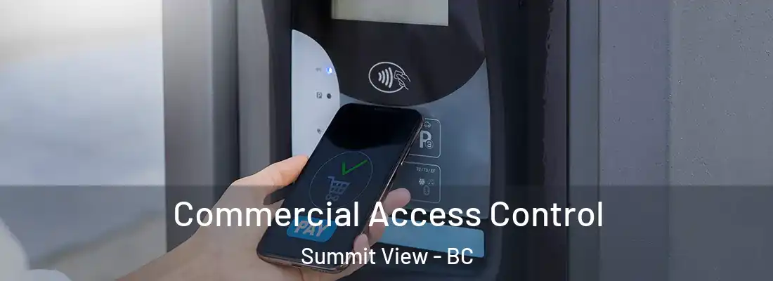  Commercial Access Control Summit View - BC