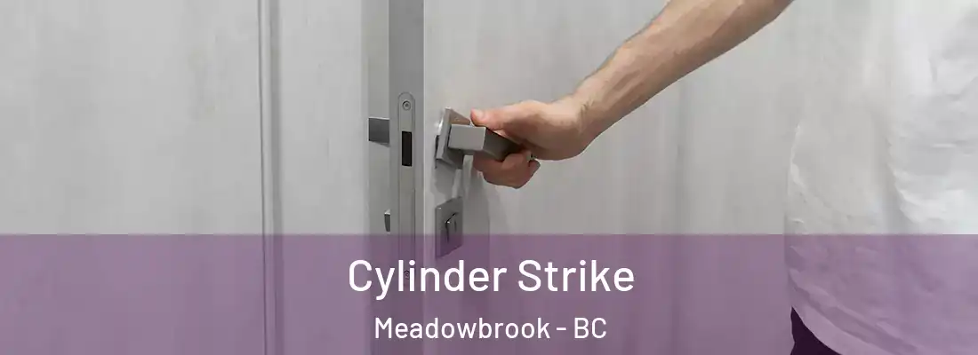  Cylinder Strike Meadowbrook - BC