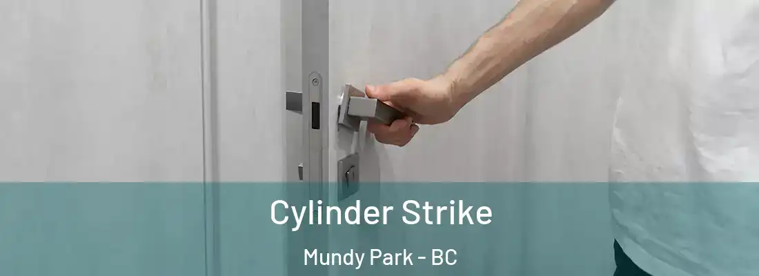  Cylinder Strike Mundy Park - BC
