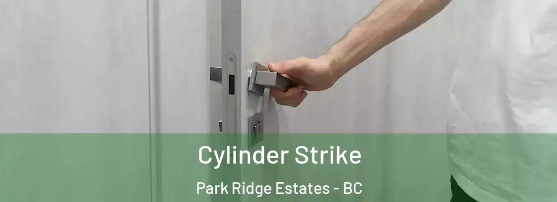  Cylinder Strike Park Ridge Estates - BC