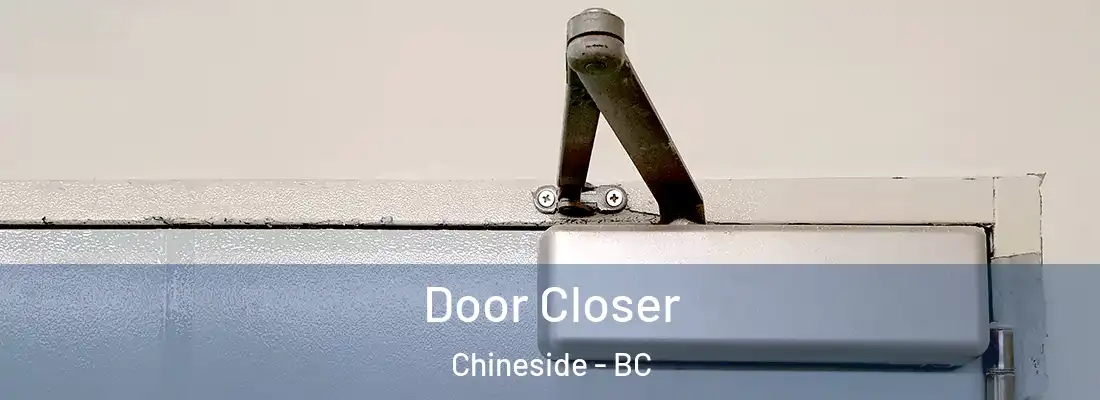  Door Closer Chineside - BC