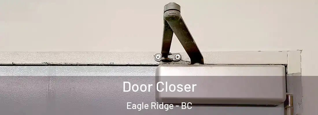  Door Closer Eagle Ridge - BC