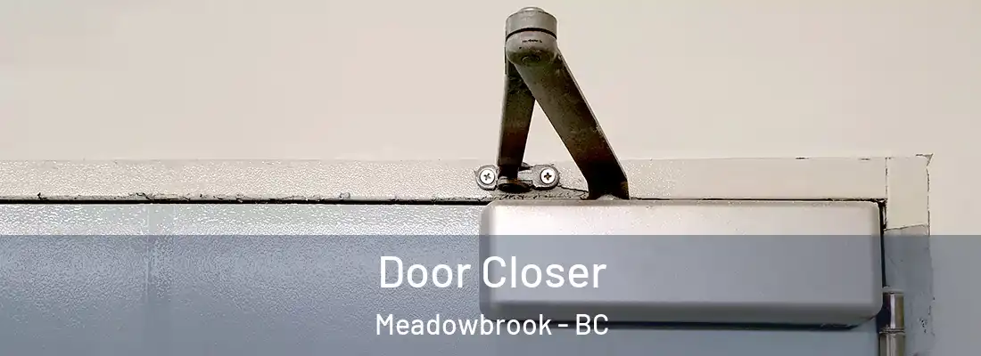  Door Closer Meadowbrook - BC