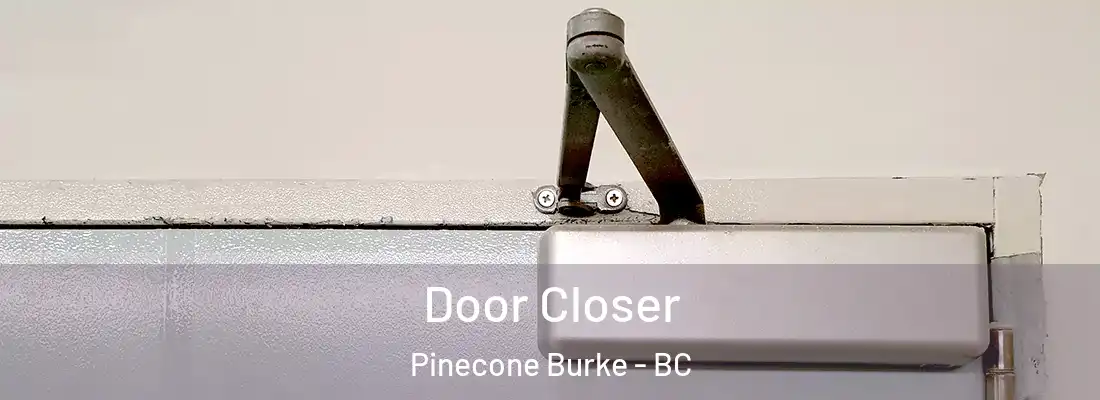 Door Closer Pinecone Burke - BC