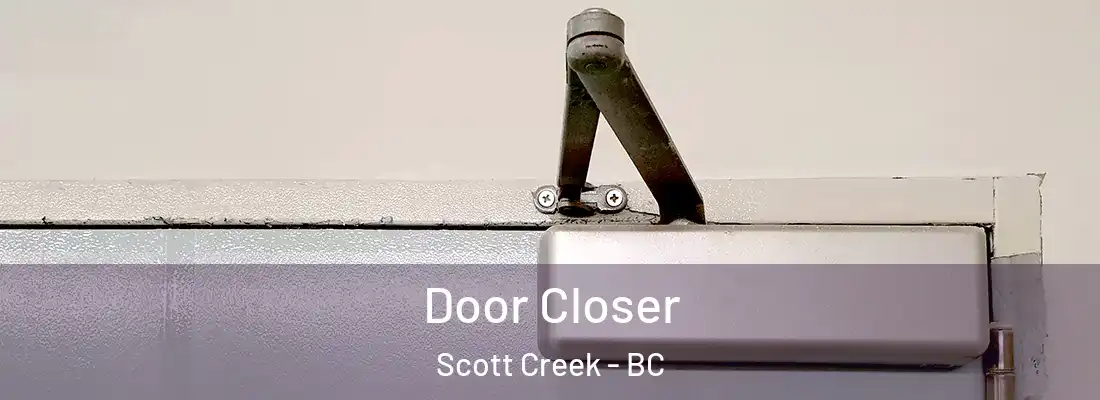  Door Closer Scott Creek - BC