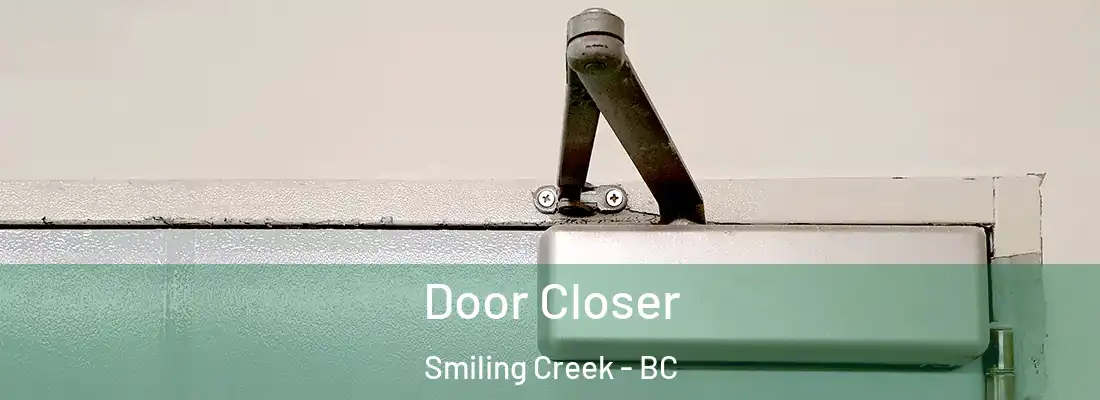  Door Closer Smiling Creek - BC
