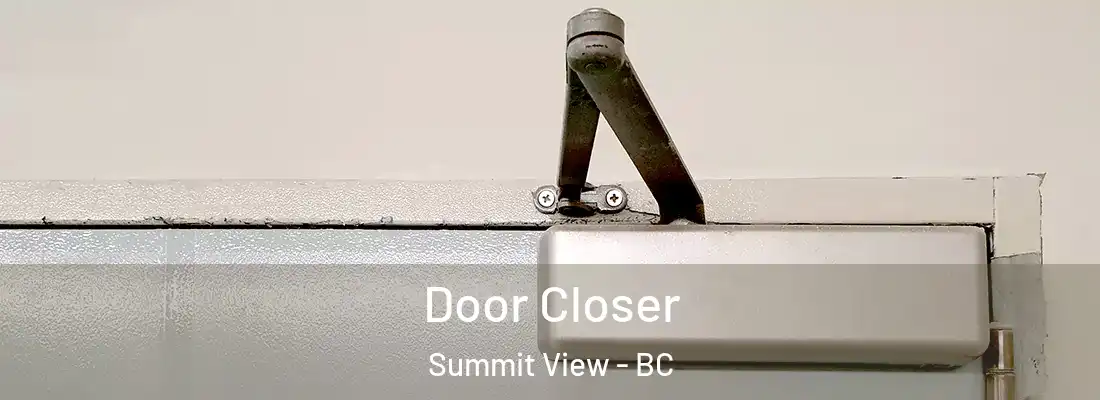  Door Closer Summit View - BC