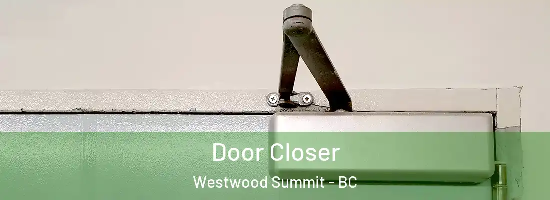  Door Closer Westwood Summit - BC