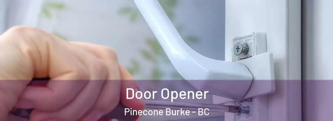  Door Opener Pinecone Burke - BC