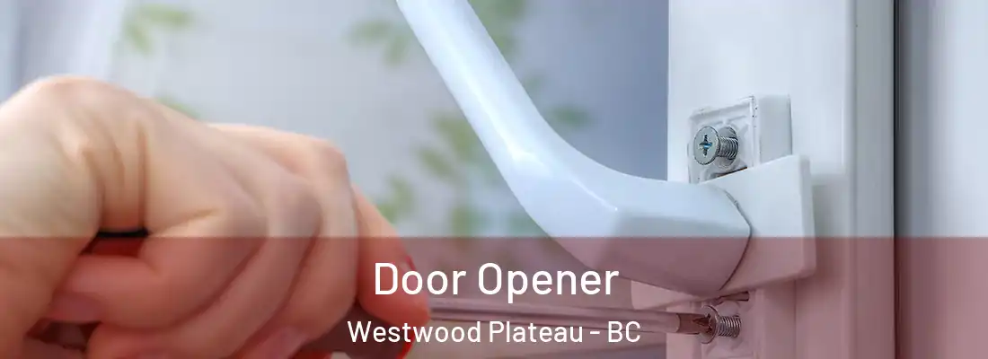  Door Opener Westwood Plateau - BC