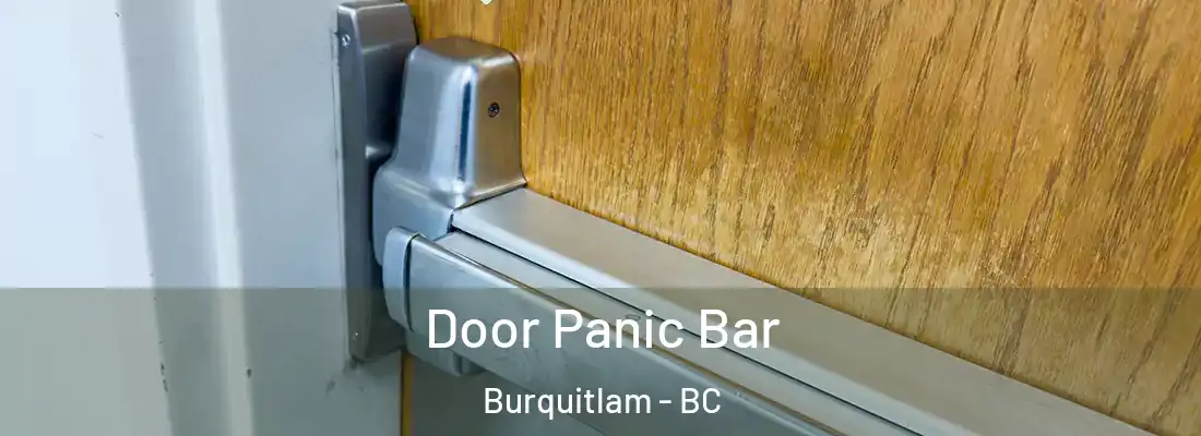  Door Panic Bar Burquitlam - BC