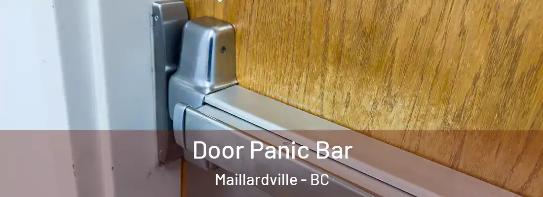  Door Panic Bar Maillardville - BC