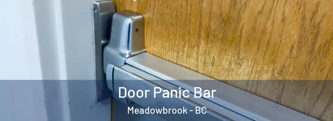  Door Panic Bar Meadowbrook - BC
